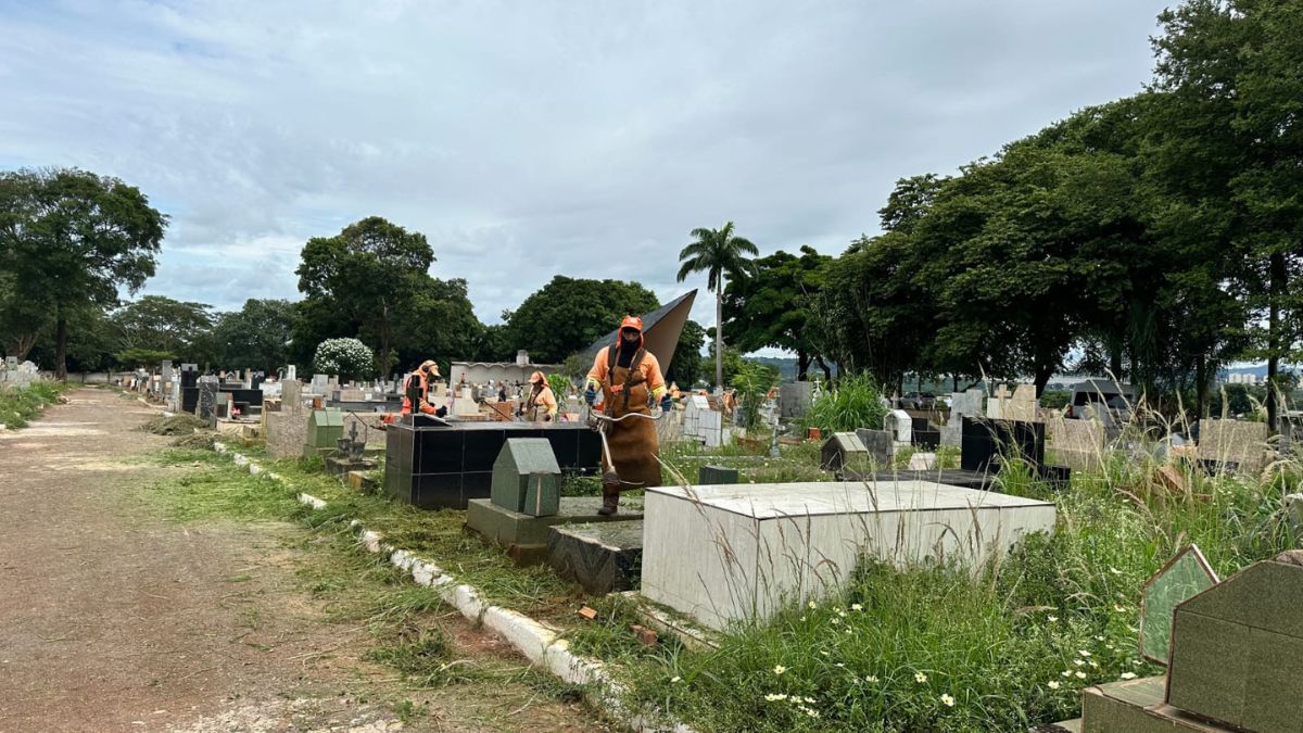 Proprietários ou herdeiros legais têm 90 dias para realizar as devidas regularizações.