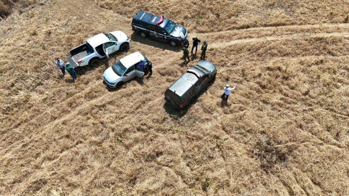 Agentes realizam buscas no local