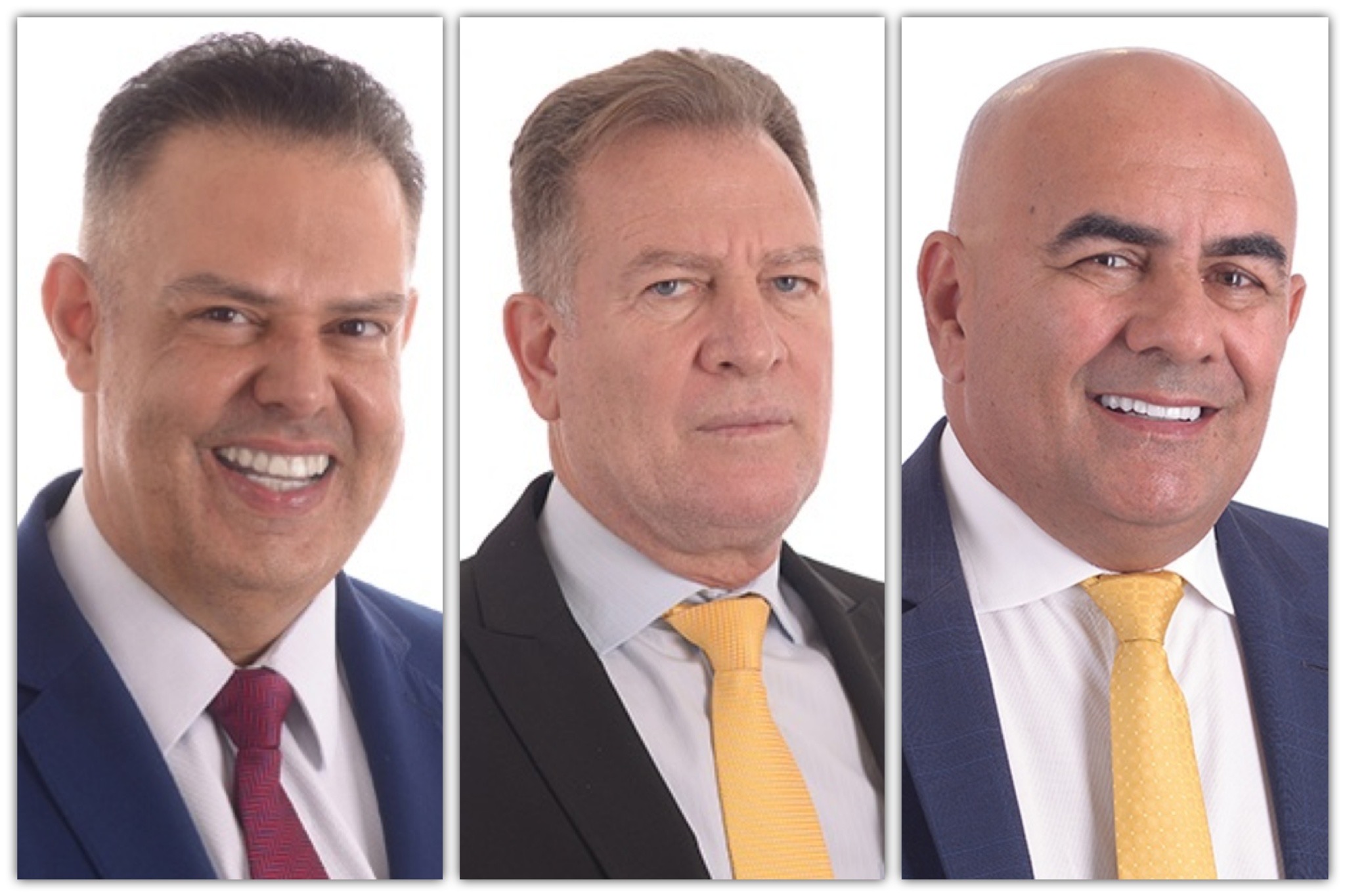 Deputados estaduais do PL-GO