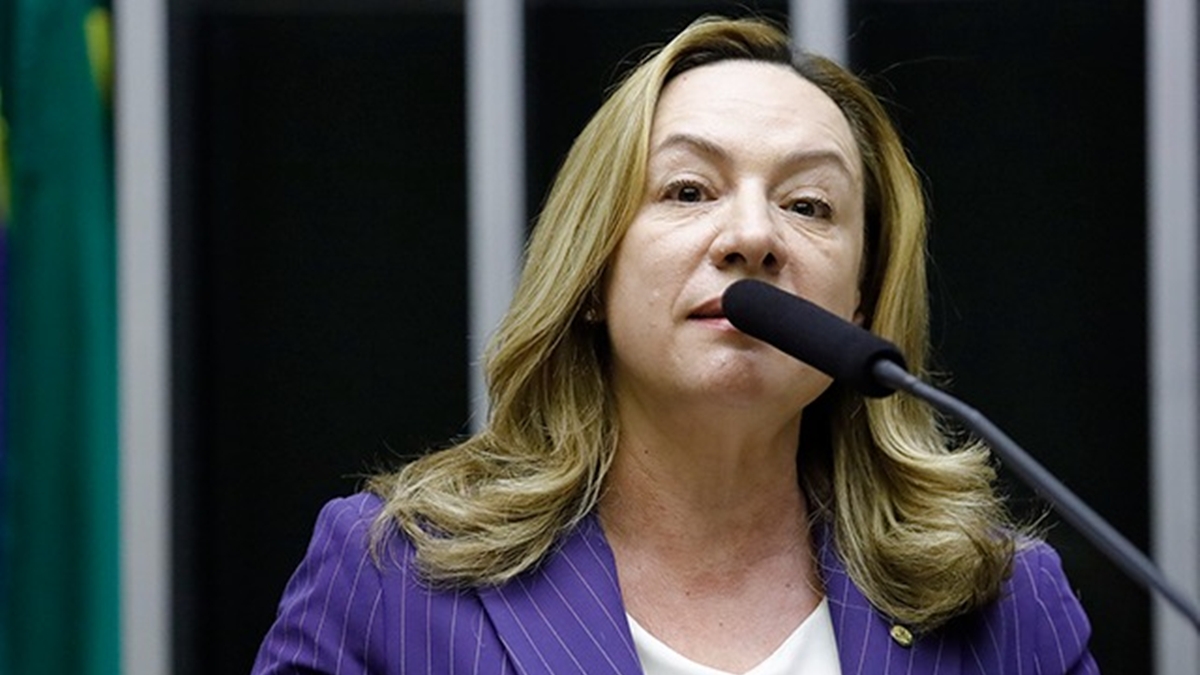 Deputada federal e presidente do PT Goiás, Adriana Accorsi