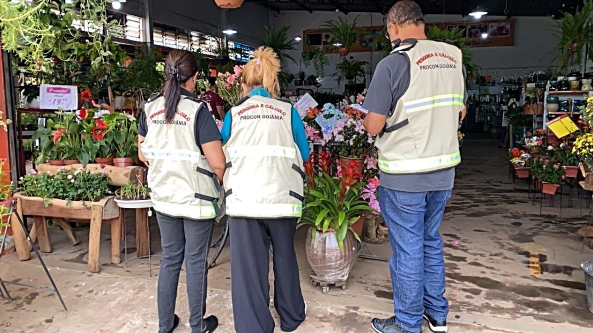 Órgão recomenda pesquisar em diferentes estabelecimentos e comparar preços