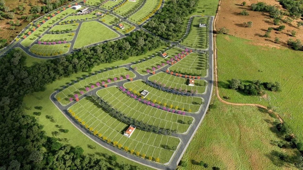 Expansão urbana, somada às facilidades de pagamento e à crescente valorização dos terrenos, tem transformado o ato de adquirir um lote